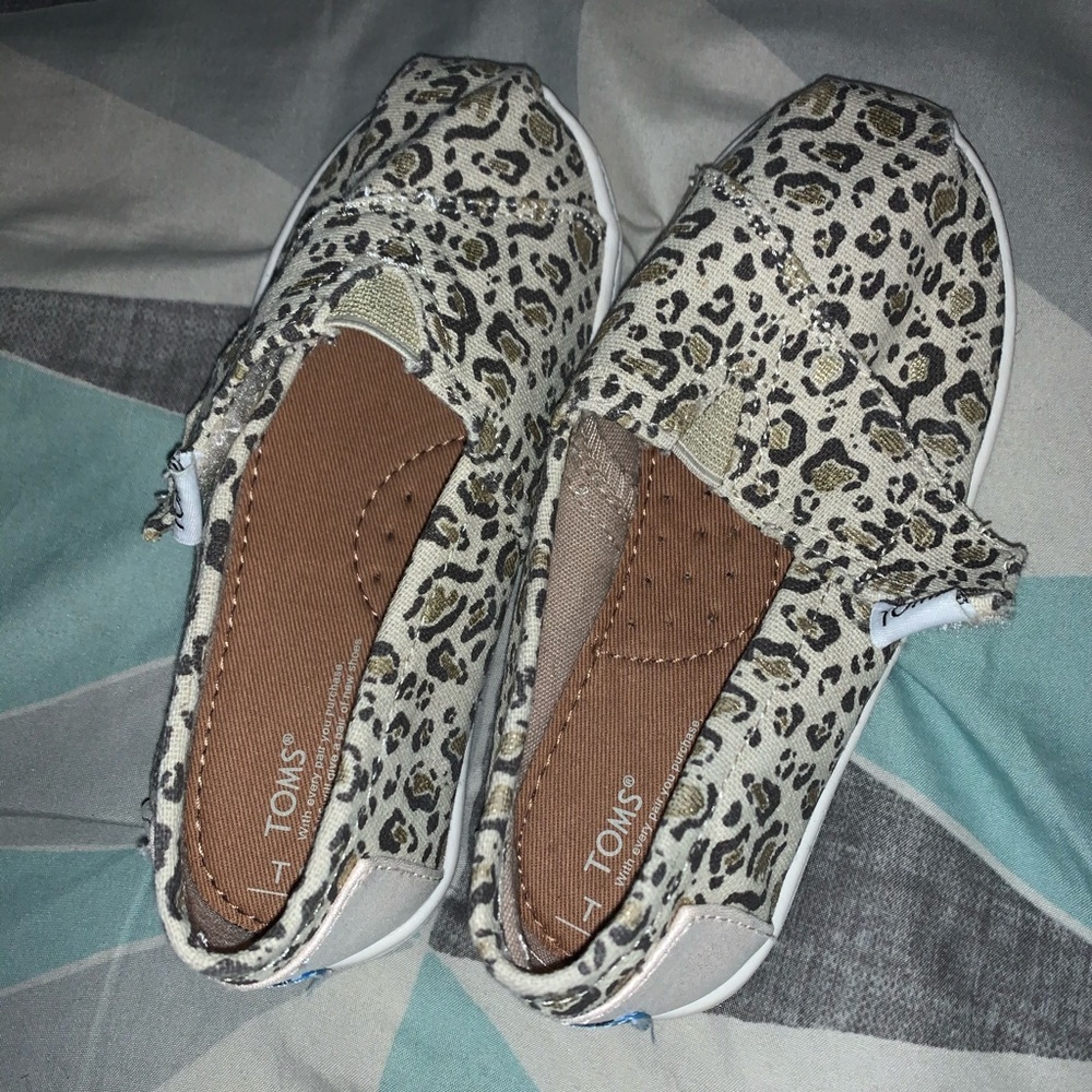 Cheetah toms